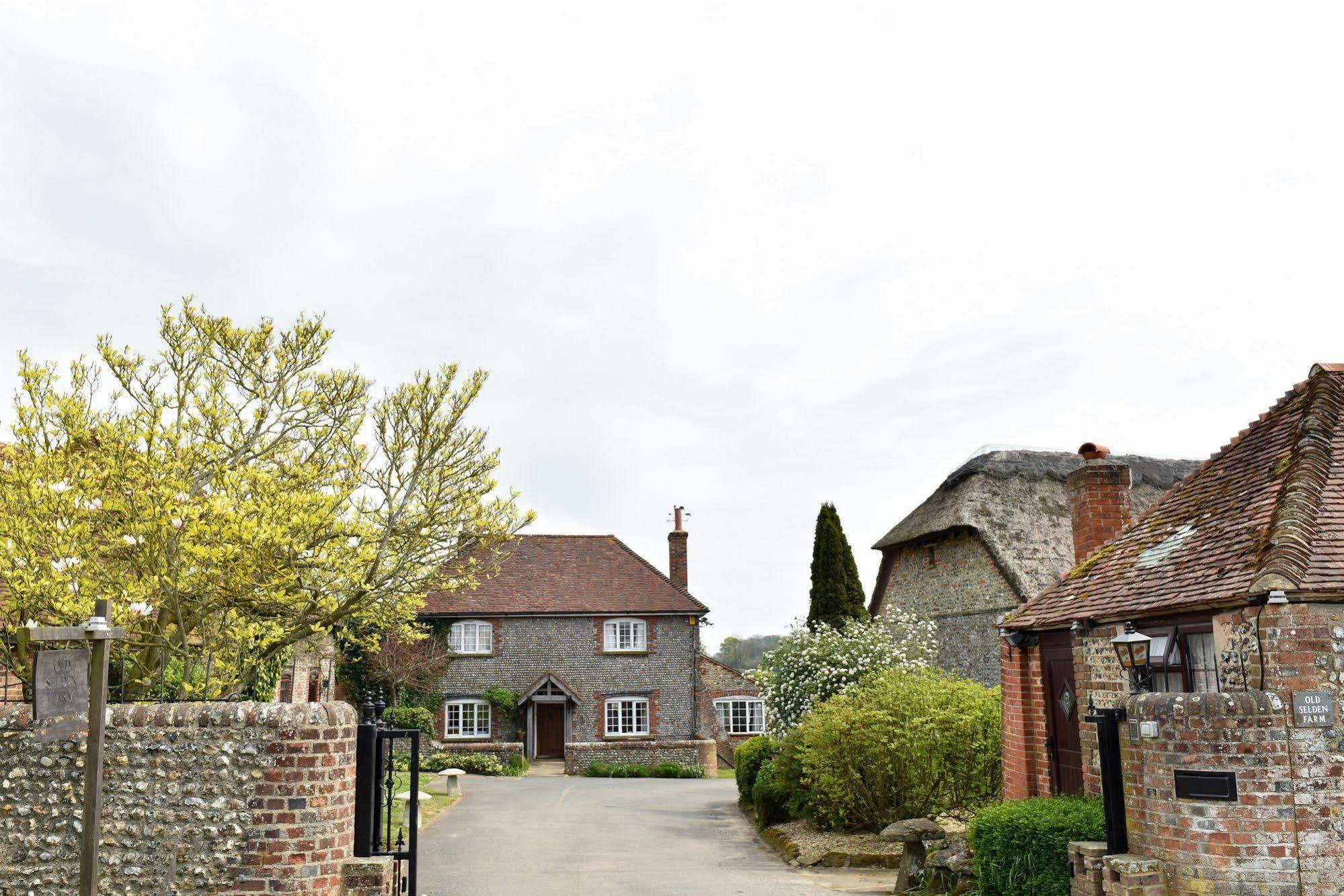 Old Selden Farm B&B Clapham  Exterior photo